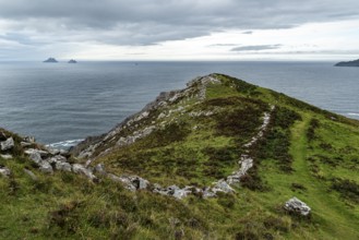 View over green meadows and a natural stone wall to the Atlantic Ocean and the Skellig Islands,