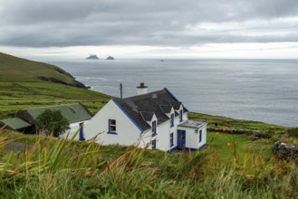 View over green meadows and a white cottage to the Atlantic Ocean and the Skellig Islands, Bolus