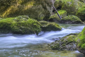 Erlauf Gorge, Purgstall an der Erlauf, Lower Austria, Austria