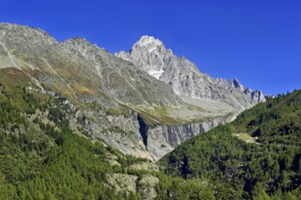Aiguille du Chardonnet, front foothills of the Argentière glacier, Argentière, Chamonix-Mont-Blanc,