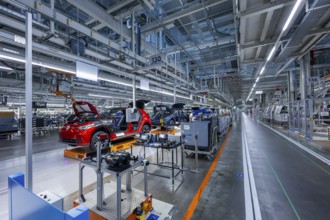 Electric car production in the assembly halls of VW in Zwickau, Zwickau, Saxony, Germany