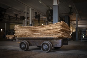 Wagon on rails for transporting cardboard, former paper factory and mill for the production of
