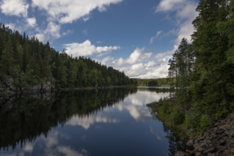 Quiet forest lake, Eidsvoll, Akershus, Norway