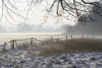 Winterlandschaft, aufsteigender Bodennebel im Licht der Morgensonne, Nordrhein-Westfalen,
