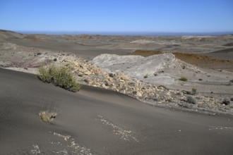 Wüstenlandschaft bei Pomona, im Hintergrund der Atlantik, Diamentensperrgebiet, bei Lüderitz,