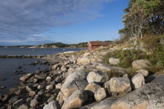 Falun red or Swedish red boathouse, Bohus granite, Resö island, Bohuslän, Skagerrak, Sotenäs,