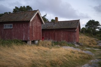 Falun red or Swedish red boathouses by the sea, Resö Island, Bohuslän, Skagerrak, Sotenäs, Västra