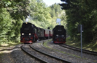 Steam locomotive, steam locomotives double exit on the Harz Narrow Gauge Railway, HSB, in the Harz