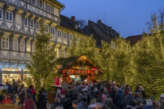 Christmas market and Christmas forest in the old town centre of Goslar at dusk, Lower Saxony,