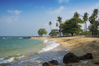 Sandy beach beach and coconut palms, Secret Beach, Sala Dan, Ko Lanta, Koh Lanta, Krabi Province,