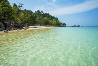 White sandy beach and coconut palms, Sunrise Beach, Koh Great white shark, Ko Ngai, Krabi Province,