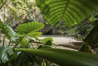 Sandy beach beach with cave in the rainforest, Emerald Cave, Koh Mook, Trang Province, Southern