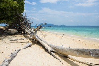 White sandy beach, Sunrise Beach, Koh Kradan, Hat Chao Mai National Park, Trang Province, Southern