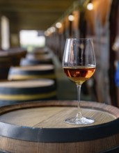 Glass of 10-year-old tawny wine placed on a barrel in a vineyard restaurant, AI generated