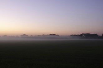 Landscape with morning fog, Summer, Saxony, Germany