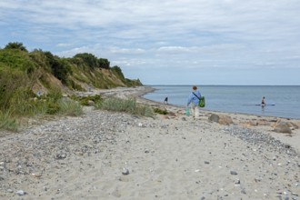 Beach, Stohl cliffs, Schwedeneck, Schleswig-Holstein, Germany