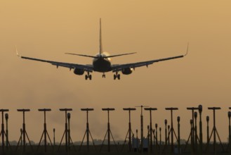 Boeing 737 jet passenger aircraft of Ryanair airlines landing over runway lights at sunset, London