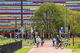 Cycle path through the university campus in Utrecht Science Park, Utrecht University, colourful