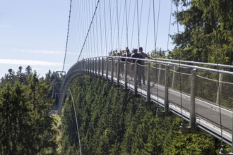 Wildline Bad Wildbad: The pedestrian suspension bridge is 380 metres long and 60 metres high. It