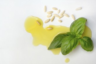 Ingredients for basil pesto, pesto alla genovese