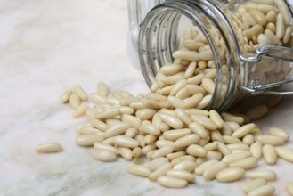 Pine nuts in glass containers, Pinus pinea