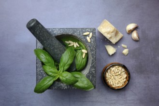 Ingredients for basil pesto, pesto alla genovese