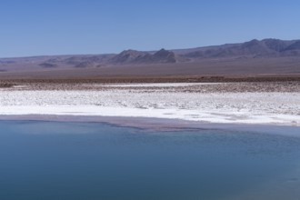Coloured salt formations at the Lagunas Escondidas de Baltinache, Atacama Desert, Toconao, San