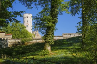 Lichtenstein Castle, fairytale castle of Württemberg, romantic fairytale castle on the eaves of the