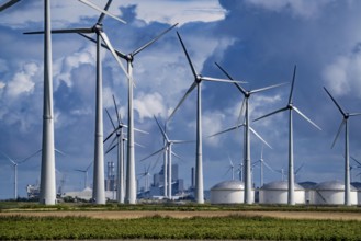 Wind farms Westereems and Growind, in the north of the Netherlands, near Eemshaven, energy centre,