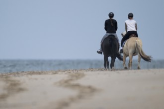 Two riders on the beach, near Hvide Sande, North Sea, Denmark