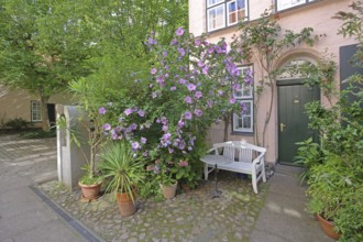 Idyllic Füchtingshof with floral decoration, garden hibiscus, Hibiscus syriacus, benches,