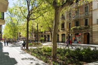 Superblock or Superilla in the Eixample neighbourhood, a highly restricted area of the city in
