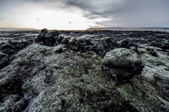 Stones and Moss along the Ring Road, Mountains, Frost, Winter, Cold, Cloudy, Iceland* Stones and