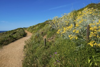 Picturesque hiking trail on the coast, Sentier du littoral, Cap Taillat, Saint Tropez, Var, French