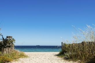 Sandy beach beach, Plage de Tahiti, Saint Tropez, Var, French Riviera, Provence-Alpes-Cote d'Azur,
