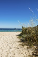 Sandy beach beach, Plage de Tahiti, Saint Tropez, Var, French Riviera, Provence-Alpes-Cote d'Azur,