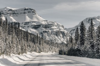 Winter road trip on the Icefields Parkway with lots of snow and ice, Banff National Park, Jasper
