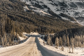 Winter road trip on the Icefields Parkway with lots of snow and ice, Banff National Park, Jasper