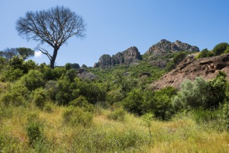 Rocher du roquebrune, Roquebrune-sur-Argens, near Saint-Raphaël, Massif de l'Esterel, Esterel