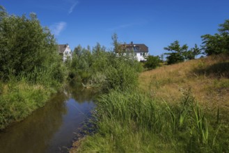 Recklinghausen, North Rhine-Westphalia, Germany - Renaturalised Hellbach, renaturalised