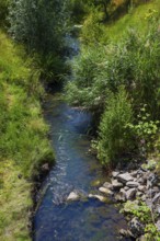 Recklinghausen, North Rhine-Westphalia, Germany - Renaturalised Hellbach, renaturalised