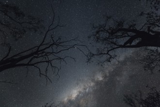 Milky Way Australian Outback, Australia