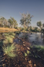 River and other waters in the outback in the north of Australia