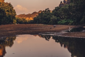 Special light atmosphere in the outback at Windjana Gorge National Park in Australia