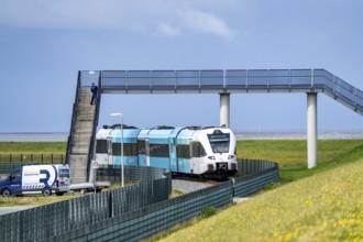 Train connection to the seaport of Eemshaven, in the Ems estuary, the British transport company