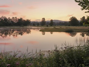 Morning atmosphere at a pond in the Schoren nature reserve, Mühlau, Freiamt, Canton Aargau,