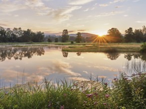 Sunrise at a pond in the Schoren nature reserve, Mühlau, Freiamt, Canton Aargau, Switzerland