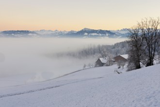 Farm in a freshly snow-covered landscape, behind the Alps with Rigi, Horben, Freiamt, Canton