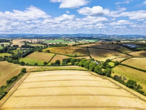 DefaultFarms and Fields over Torquay from a drone, Devon, England, United Kingdom