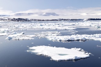 Drift ice, sea ice, sea, Faksevagen, Spitsbergen, Svalbard